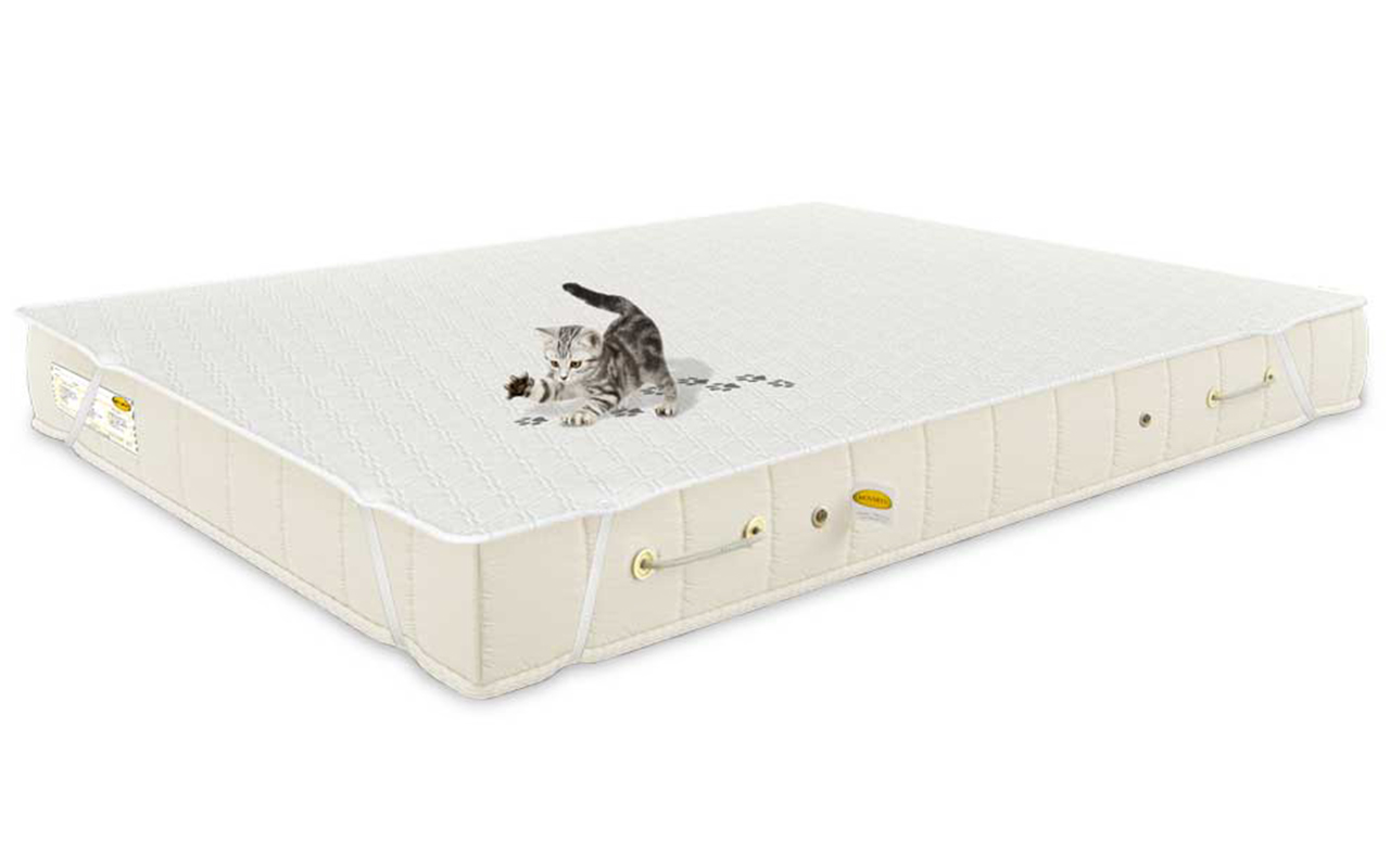 Benartti Cotton KIDS